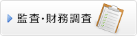 監査・財務調査